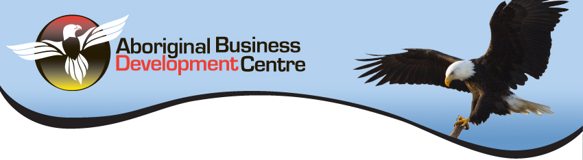 Virtual Business Innovation Centre